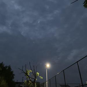 双儿穿越到共妻世界后最新章节
